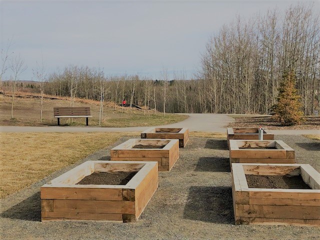 Garden plots and Memorial Bench 